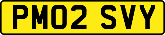 PM02SVY