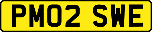 PM02SWE