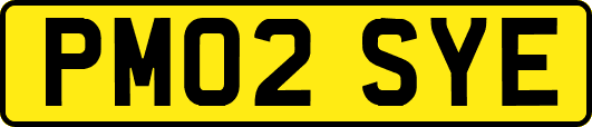 PM02SYE