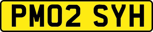 PM02SYH