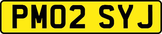 PM02SYJ