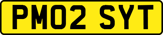 PM02SYT