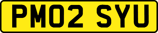 PM02SYU