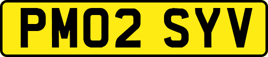 PM02SYV