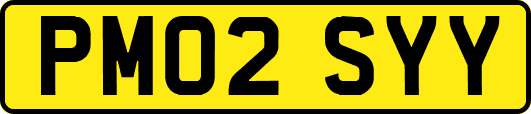 PM02SYY