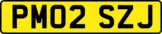 PM02SZJ