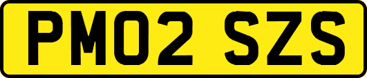 PM02SZS