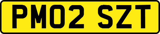 PM02SZT
