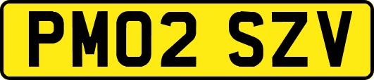 PM02SZV