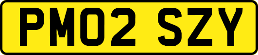 PM02SZY