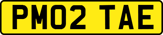 PM02TAE