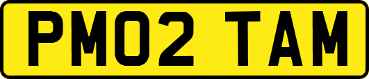 PM02TAM