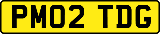 PM02TDG