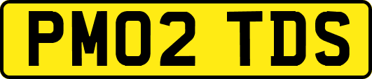 PM02TDS