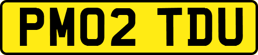 PM02TDU