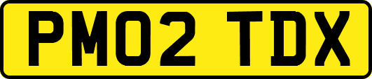 PM02TDX