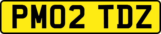 PM02TDZ