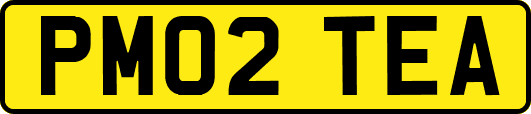PM02TEA