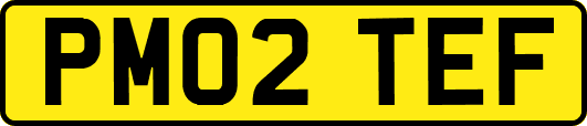 PM02TEF