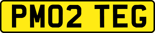 PM02TEG
