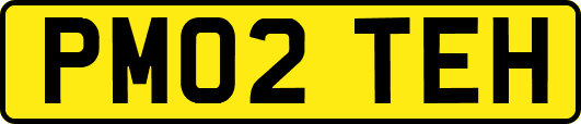 PM02TEH