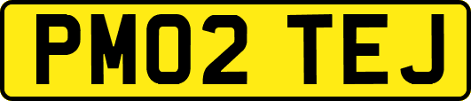 PM02TEJ