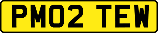 PM02TEW
