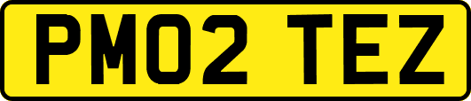 PM02TEZ