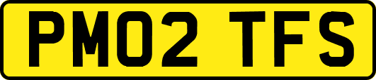 PM02TFS