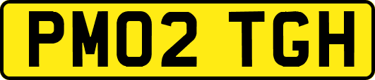 PM02TGH