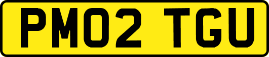 PM02TGU