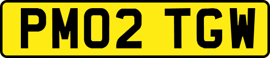 PM02TGW