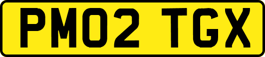 PM02TGX