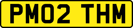 PM02THM