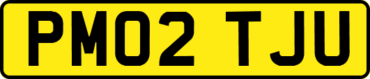 PM02TJU