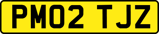 PM02TJZ