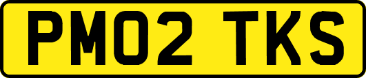 PM02TKS