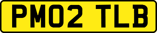 PM02TLB