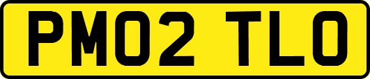 PM02TLO