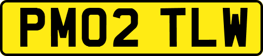 PM02TLW