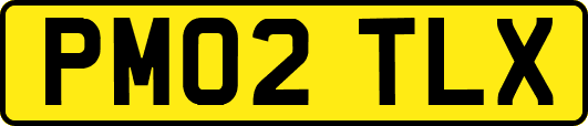 PM02TLX
