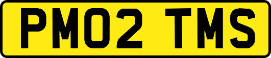 PM02TMS