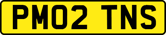 PM02TNS