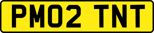 PM02TNT
