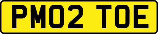 PM02TOE