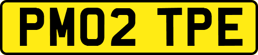 PM02TPE