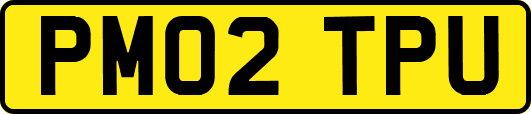 PM02TPU