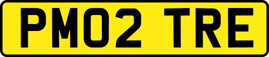 PM02TRE
