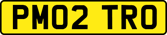 PM02TRO