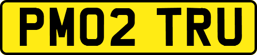 PM02TRU